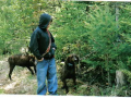 97boar-20070009